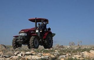 Cumhurbaşkanı Erdoğan’ın örnek gösterdiği...
