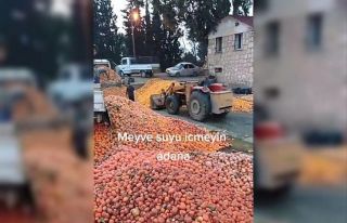 Çürümüş meyvelerin meyve suyu olduğu iddia edildi