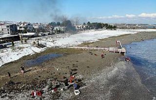 Dalgaların kıyıya attığı salyangozlar kadınlara...