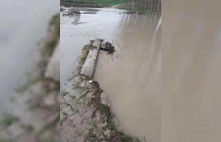 Debisi yükselen dereye düşüp boğuldu