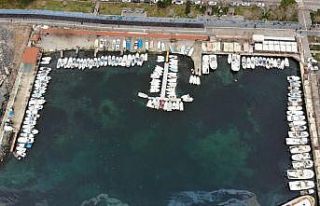 Deniz, balık yerine salya ile taştı