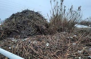 Dereler ve kanallardan tonlarca çöp çıktı