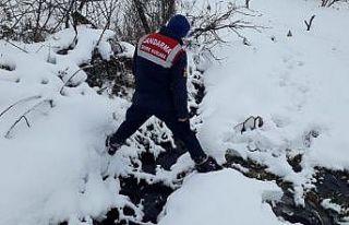 Dereyi kirleten zeytinyağı fabrikasına ceza