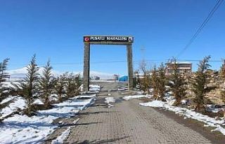 Devasa büyüklükte blok sütun taşlar görenleri...