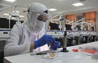 Diş Hekimliği Fakültesinde yüz yüze pratik eğitim...