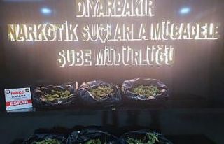 Diyarbakır polisi uyuşturucu tacirlerine göz açtırmıyor