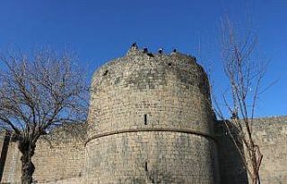 Diyarbakır’da önlemlere rağmen güneşli havayı...