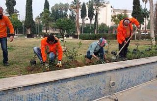 Doğasever kadın, çiçek eken büyükşehir personellerine...
