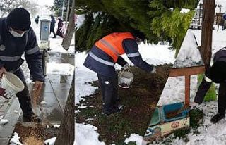 Doğaya kuşlar için yem, sokak hayvanları için...