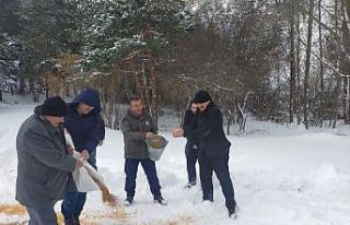 Doğaya yem bıraktılar