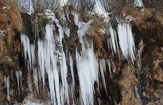 Doğu Anadolu buz kesti