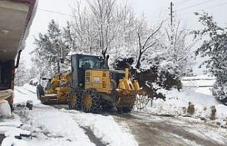 Doğu Karadeniz’de kar esareti