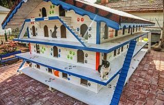 DokumaPark’a kedi apartmanı