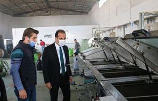 Dolar düştü, zamlar düşmedi