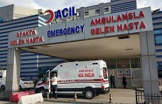 Domuz avında kazara arkadaşını vurdu