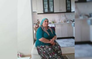 Domuzuna çarpan otomobil devrildi, ölü sayısı...