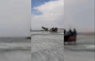 Donan Çıldır Gölü üzerinde atlı kızakla drift...