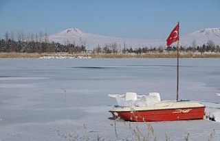 Donan gölde balık umudu