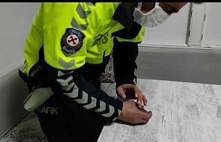 Donmak üzere olan serçeye polis şefkati