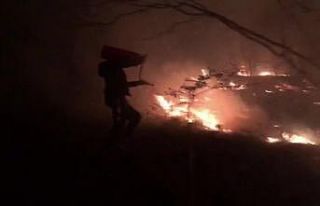 Düzce’de orman yangını