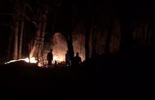 Düzce’deki orman yangını kontrol altına alındı