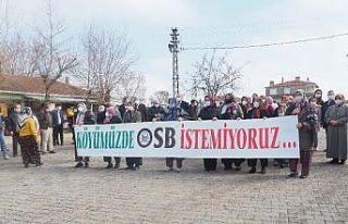 Edirne köylüsünün OSB mücadelesi: Bilirkişi...