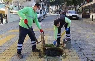 Efeler Belediyesi kent zararlıları ile mücadele...
