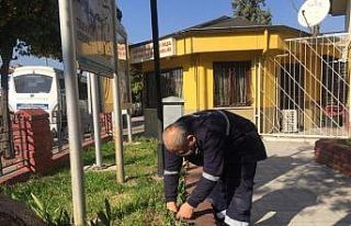 Efeler Belediyesi, muhtarlıkları çiçeklendirdi