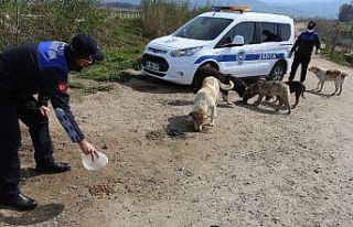 Efeler Belediyesi’nin zabıtalar sokağa çıkma...