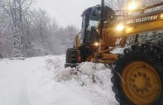 Ekipler kar yağışına karşı teyakkuzda