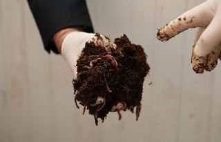 Ekonomiye katkı çevreye fayda sağlıyor, 100 ton...