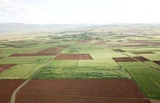 Elazığ’da arazi toplulaştırma çalışmaları...