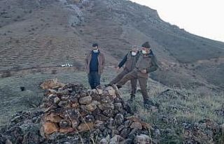 Elazığ’da kaçak avda kullanılan meterisler yıkıldı
