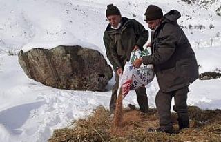 Elazığ’da yaban hayvanları için doğaya 1,5...
