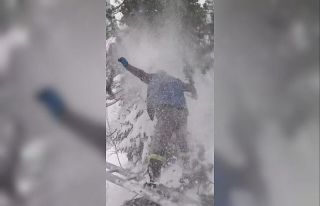 Elektrik tellerinin düşen dalları kesmek isterken...