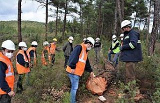 Endüstriyel plantasyon sahasında üretim