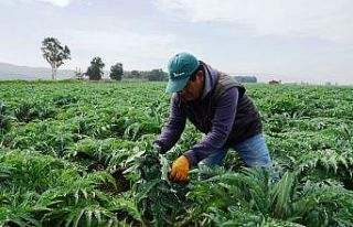 Enginarda soğuğa karşı seferberlik ilan edildi