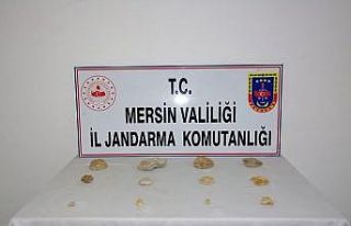 Erdemli’de tarihi eser niteliğinde fosil ele geçirildi