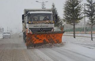 Ereğli’de karla mücadele çalışması
