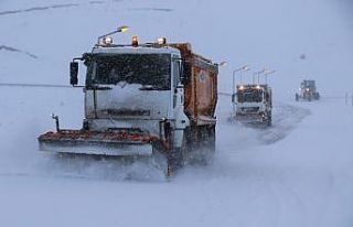 Erzincan’da kar tatili
