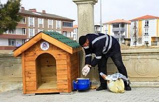 Erzincan’da sokak hayvanları için üretilen ahşap...