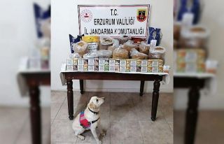 Erzurum’da kaçak sigara operasyonu