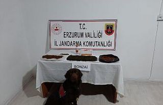 Erzurum’da yapılan operasyonlarda uyuşturucuya...