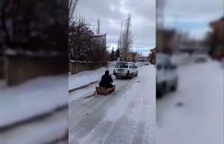 Eşek yemliği kızak oldu