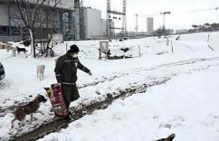 Esenyurt’ta can dostları yalnız bırakılmıyor