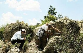 Eskişehir’de bulunan ’idol’ şeklindeki stel...