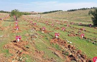 Evlenen çiftlere ömürlük hediye