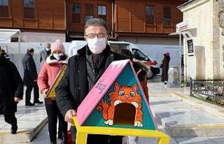 Eyüpsultan’da kediler yeni yuvalarına kavuştu