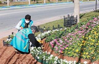 Eyyübiye’de peyzaj çalışması