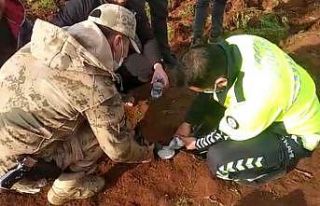 Feci kazada minibüsün altında kalan güvercinleri...